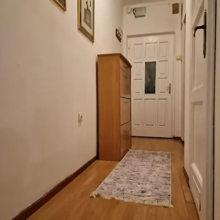 Dorcol-Basic Apartman Belgrade Exterior photo