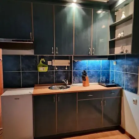 Dorcol-Basic Apartman Belgrade Exterior photo