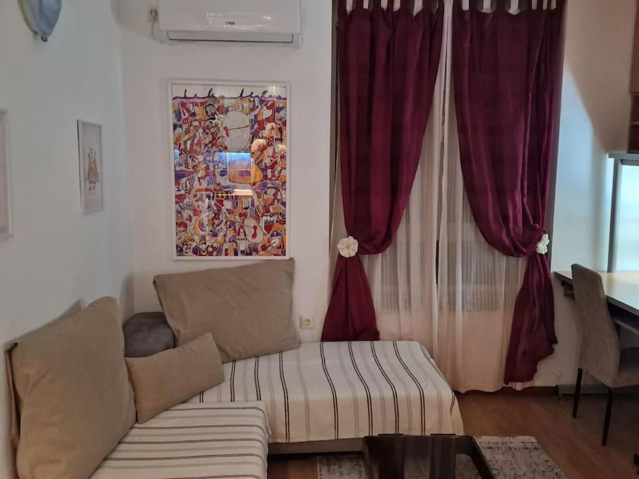Dorcol-basic Apartment Belgrade